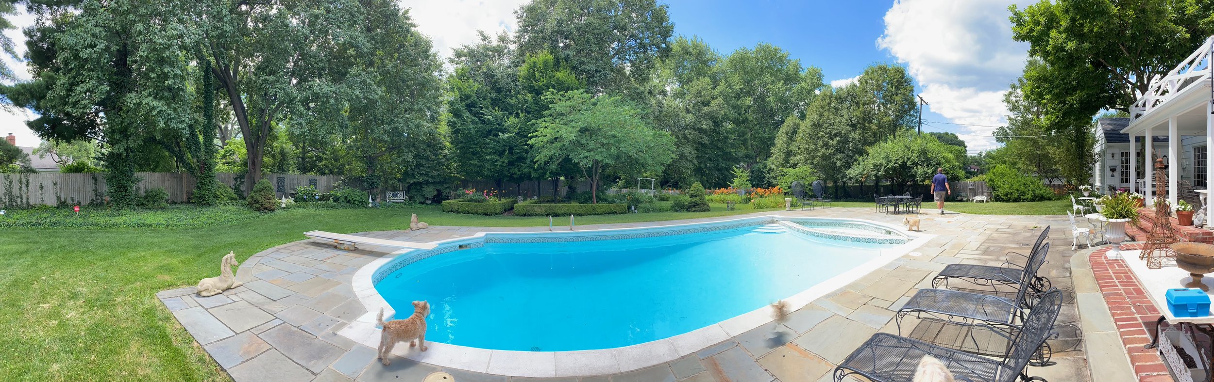 Pool Service